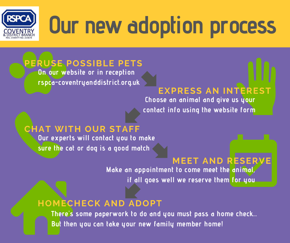 Adoption Process Coventry & District RSPCA