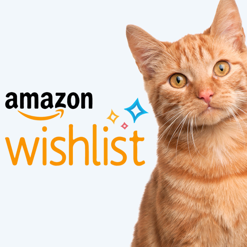 Amazon wish list advert