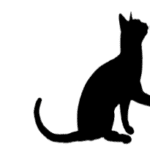 cat silhouette