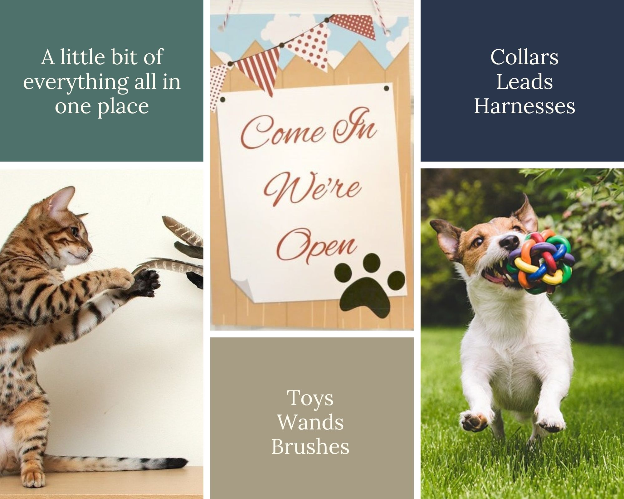 Pet shop advert Centre Pet Shop