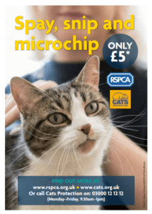 Spay, snip & microchip