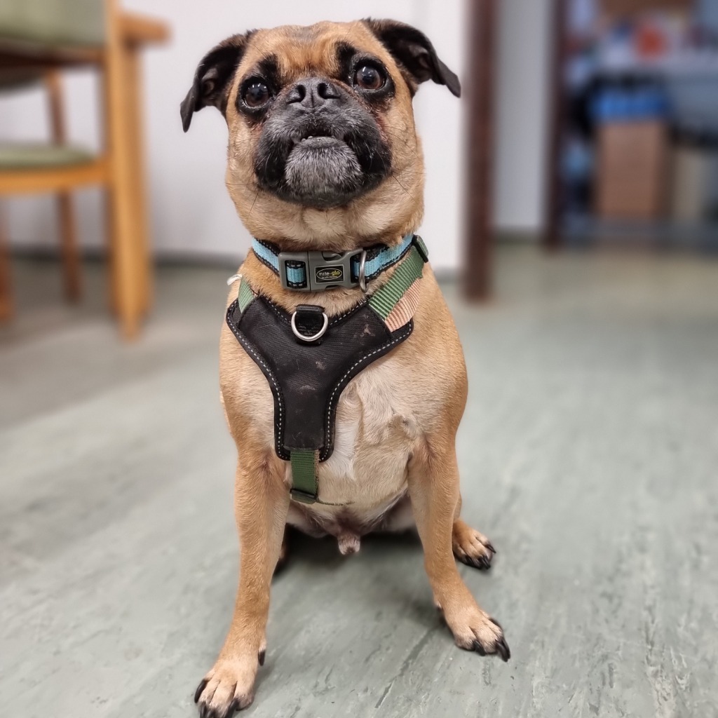 arlo-5785