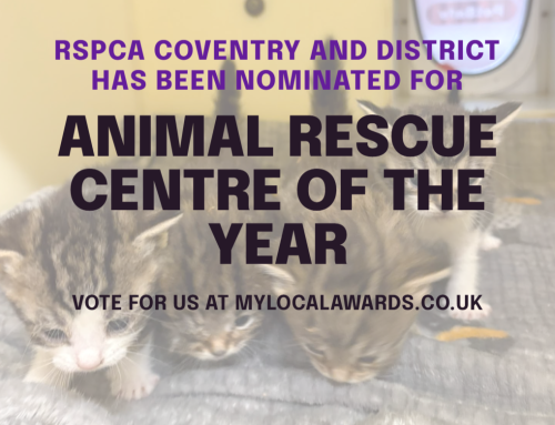 RSPCA Coventry & District nominated for Animal Welfare Centre of the Year!